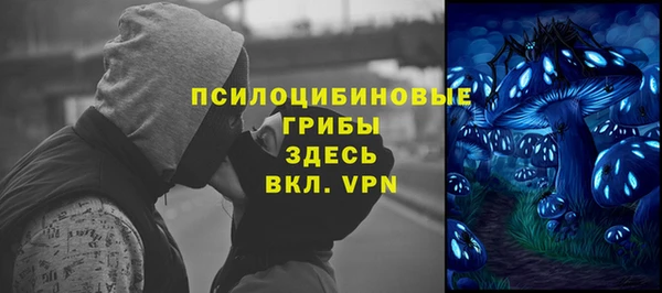 ПСИЛОЦИБИНОВЫЕ ГРИБЫ Абинск