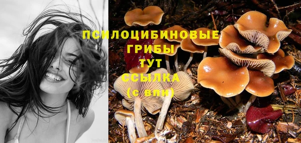 дживик Нея