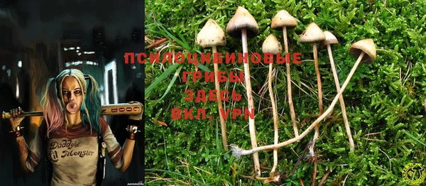 PSILOCYBIN Абдулино
