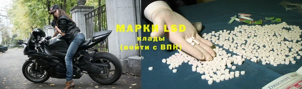 PSILOCYBIN Абдулино
