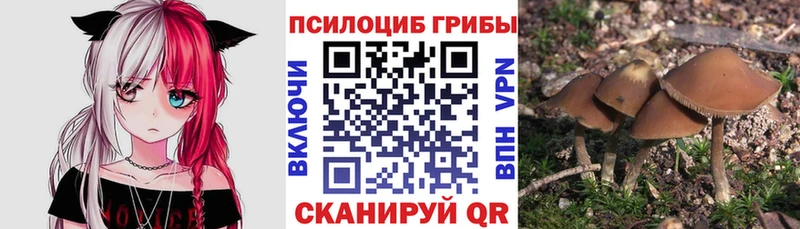 Псилоцибиновые грибы ЛСД  Красково 